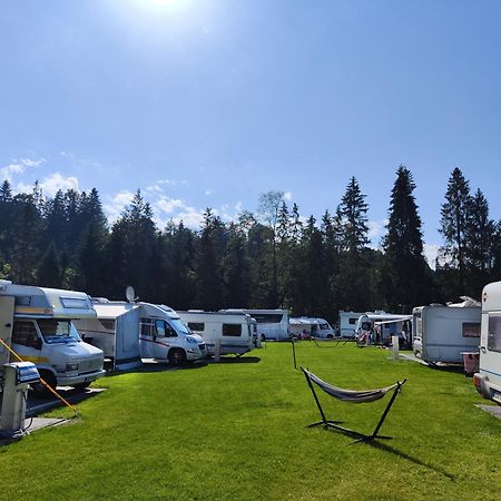Camp Goracy Potok - Parcele Kamperowe Hotel Szaflary Eksteriør billede
